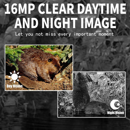 16mp Outdoor Hunting Camera with Night Vision and Motion Activation Tristar Online