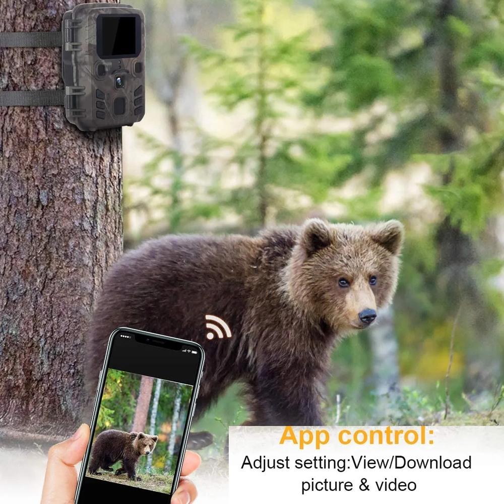 24mp Wifi Hunting Camera with Bluetooth & Night Vision Tristar Online