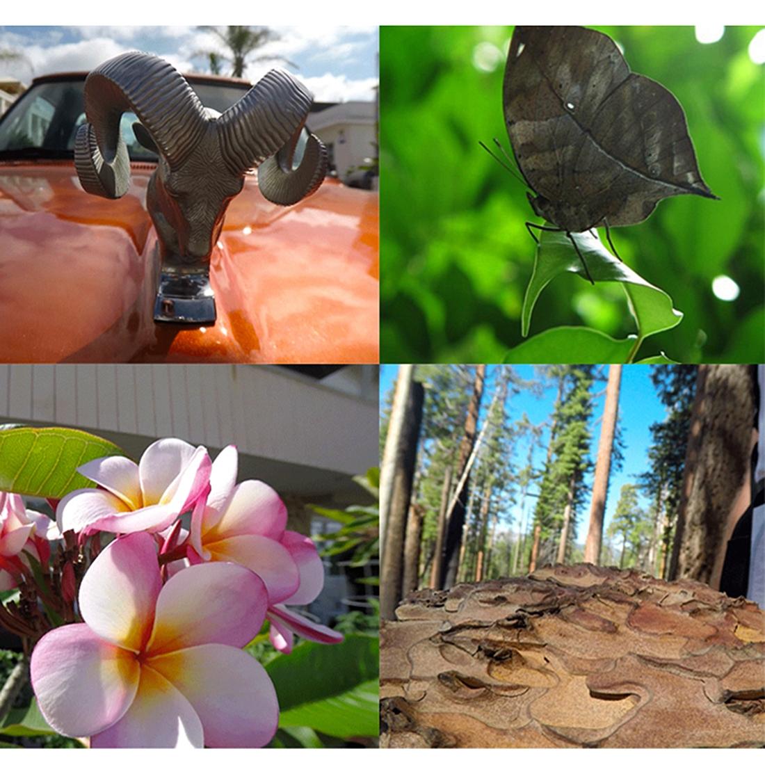 10x Macro Lens for Gopro Hero5 Action Camera - 52mm Tristar Online