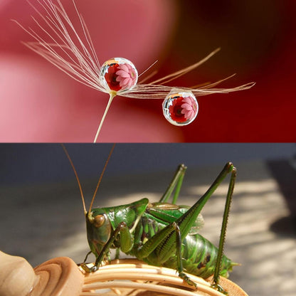 10x Macro Lens for Gopro Hero5 Action Camera - 52mm Tristar Online