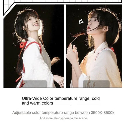 Mini Led Clip-on Selfie Fill Light for Phones Tristar Online