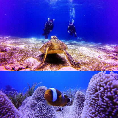 Waterproof Protective Case for Gopro Hero5 - 30m Depth Tristar Online