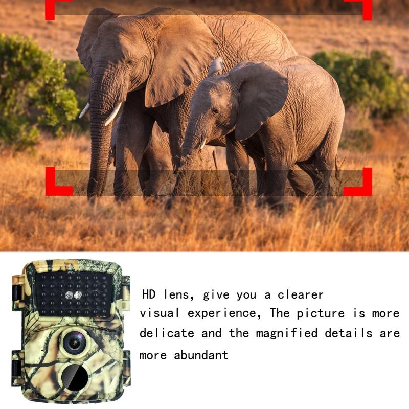 20mp Hd Infrared Hunting Camera with 38 Ir Lights Tristar Online