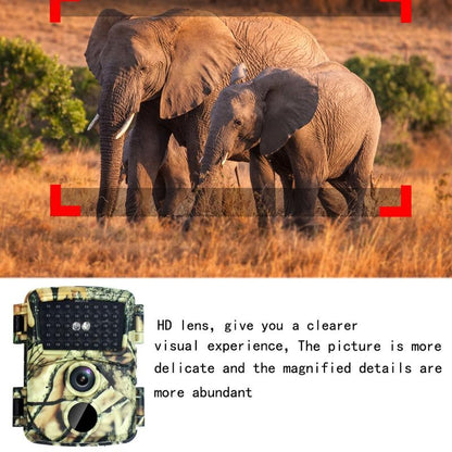 20mp Hd Infrared Hunting Camera with 38 Ir Lights Tristar Online