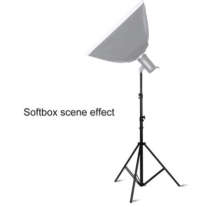 Professional Photography Lighting Stand With Spring Buffer For Studio Flash Tristar Online