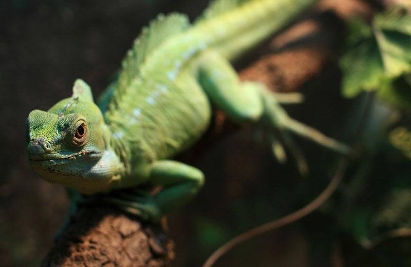 Enhance Image Quality with Nd Filters for Gopro Hero4 / 3 / 3 Sports Action Camera Tristar Online