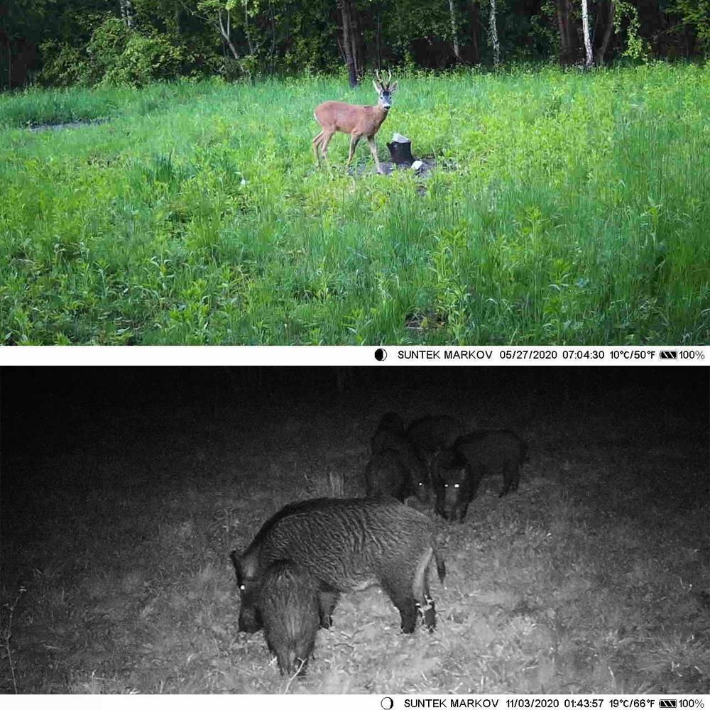 Outdoor Infrared Night Vision Camera with Tracking - 2.7k Tristar Online