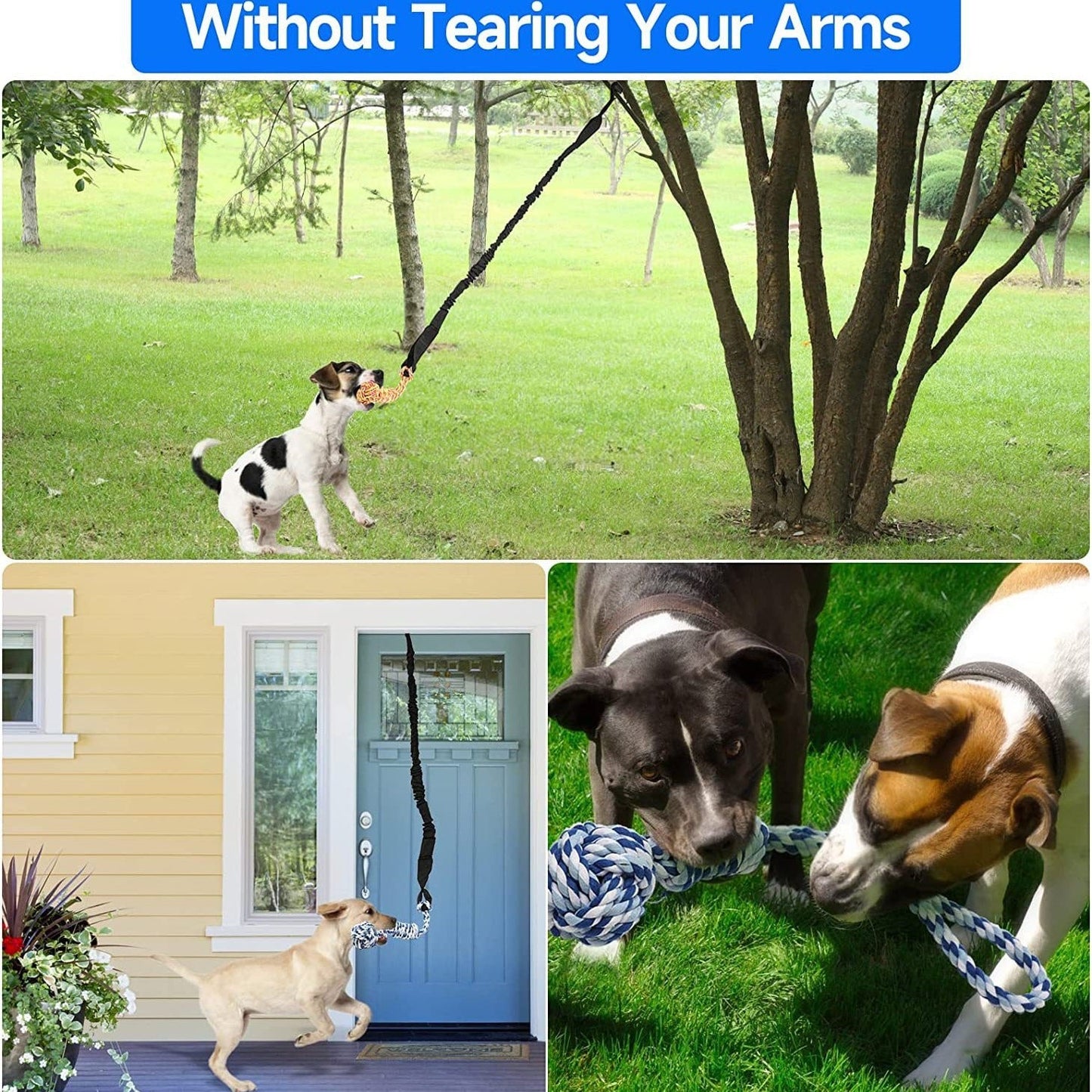 Black And Colored Cotton Balls Interactive Bungee Dog Tug Toy - Hanging Rope Ball for Solo Play & Exercise Tristar Online