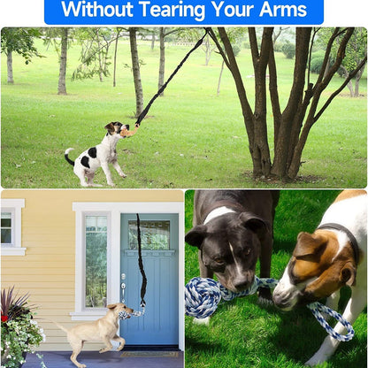 Grey And Colored Cotton Balls Interactive Bungee Dog Tug Toy - Hanging Rope Ball for Solo Play & Exercise Tristar Online