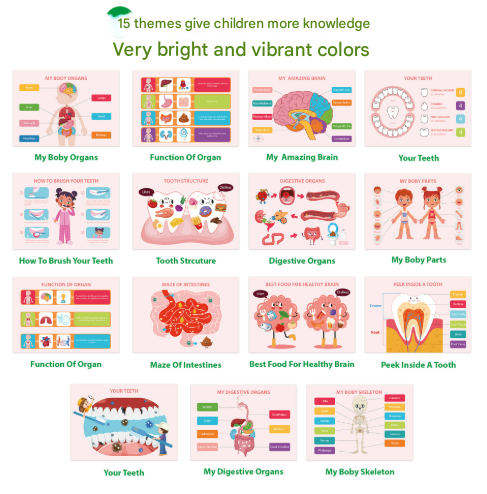 Interactive Human Body Busy Book Set (2 Books) - Educational Quiet Learning Toy for Toddlers Tristar Online