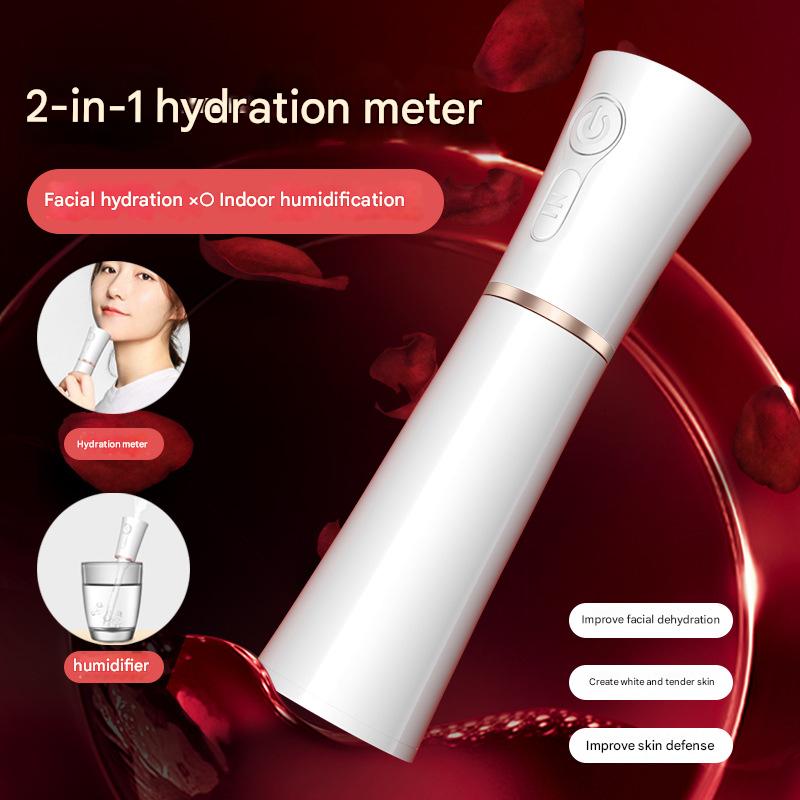 White 2 in 1 Cool Mist Humidifier and Facial Moisturizer - USB Rechargeable Portable Nano Sprayer Tristar Online