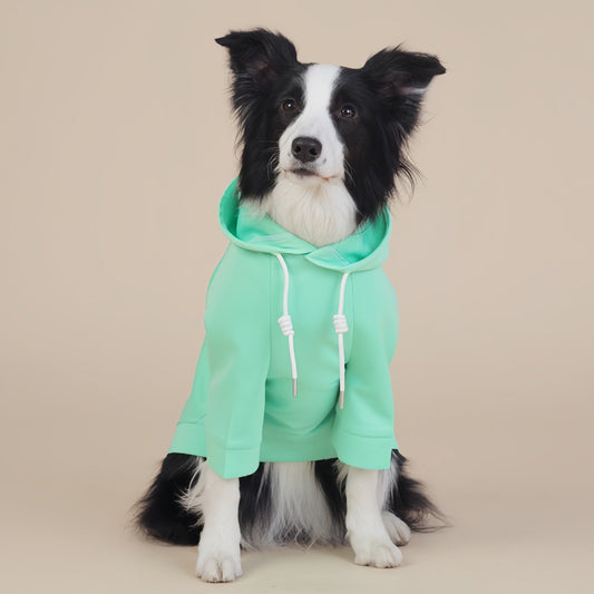 Green Classic Dog Sweatshirt with Hood & Drawstrings - For Large Dogs (Size : XL) Tristar Online