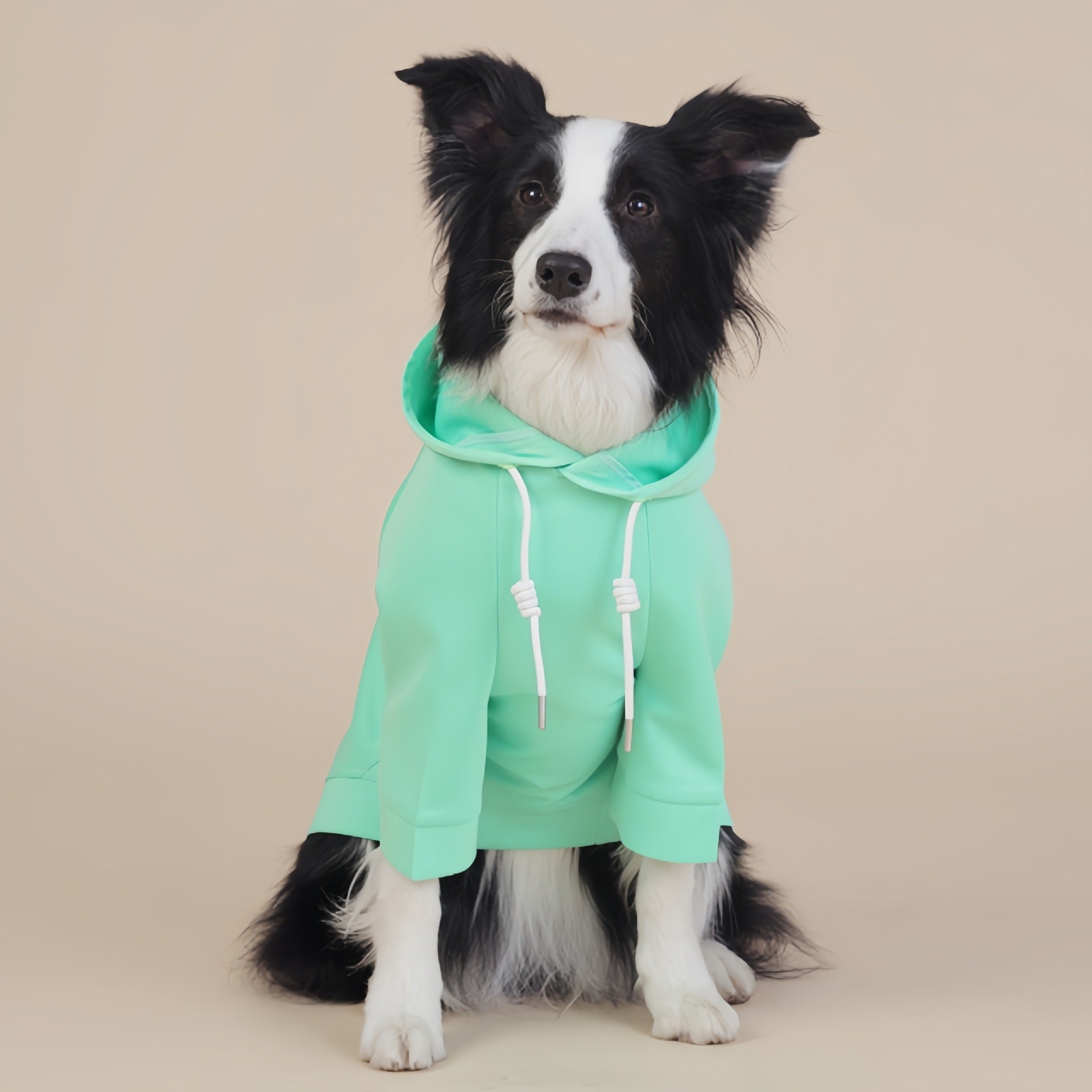 Green Classic Dog Sweatshirt with Hood & Drawstrings - For Large Dogs (Size : 4XL) Tristar Online