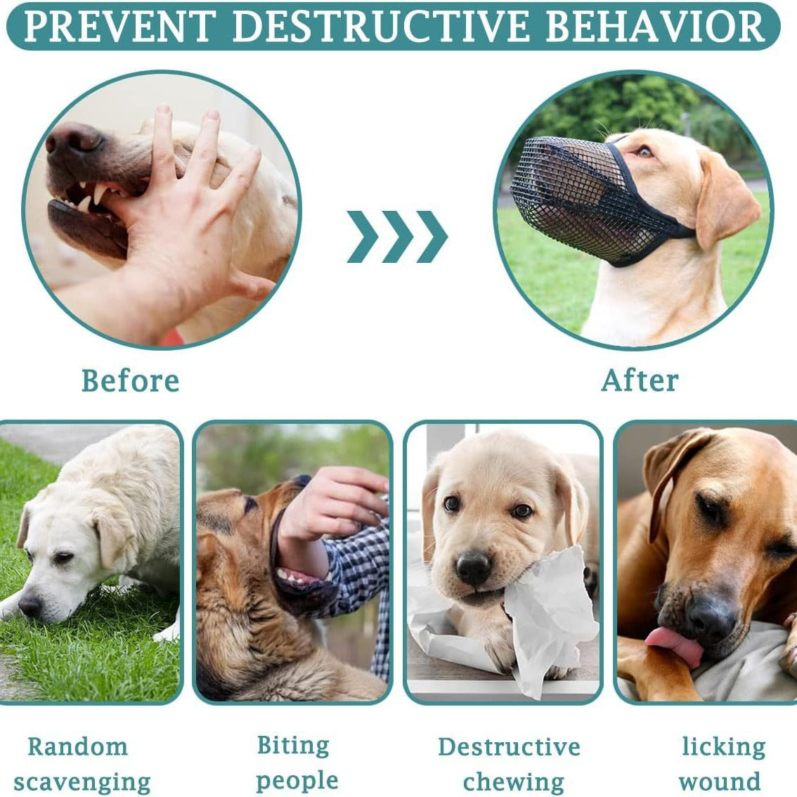 2 Pcs Size XS Black Breathable Mesh Dog Muzzle - Anti-Barking, Biting & Chewing - Adjustable & Comfortable Nylon Muzzle for Dogs Tristar Online