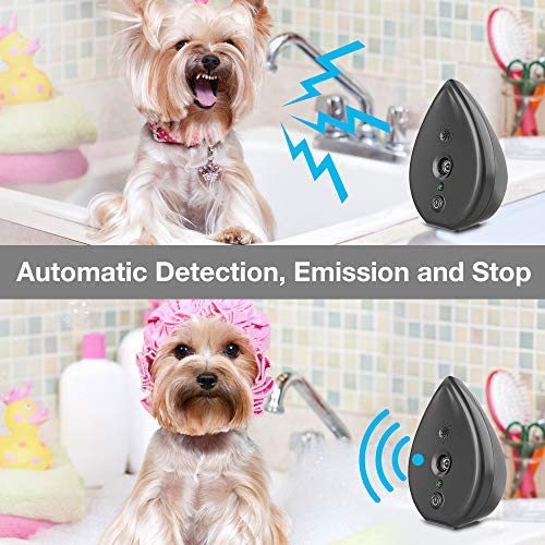 Automatic Ultrasonic Dog Bark Deterrent - Up to 50ft Range, Safe Frequency Conversion, Indoor Use(black) Tristar Online