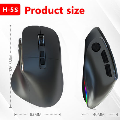 Ergonomic Vertical Wireless Mouse - Dual Mode (2.4G + Bluetooth), RGB Light, Rechargeable 500mAh Battery(Gray) Tristar Online