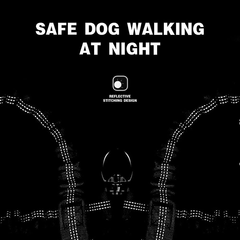 Grey 3-in-1 Tangle-Free Dog Leash for 1-3 Dogs - Heavy Duty Bungee Coupler with Reflective Stitching & Padded Handle Tristar Online