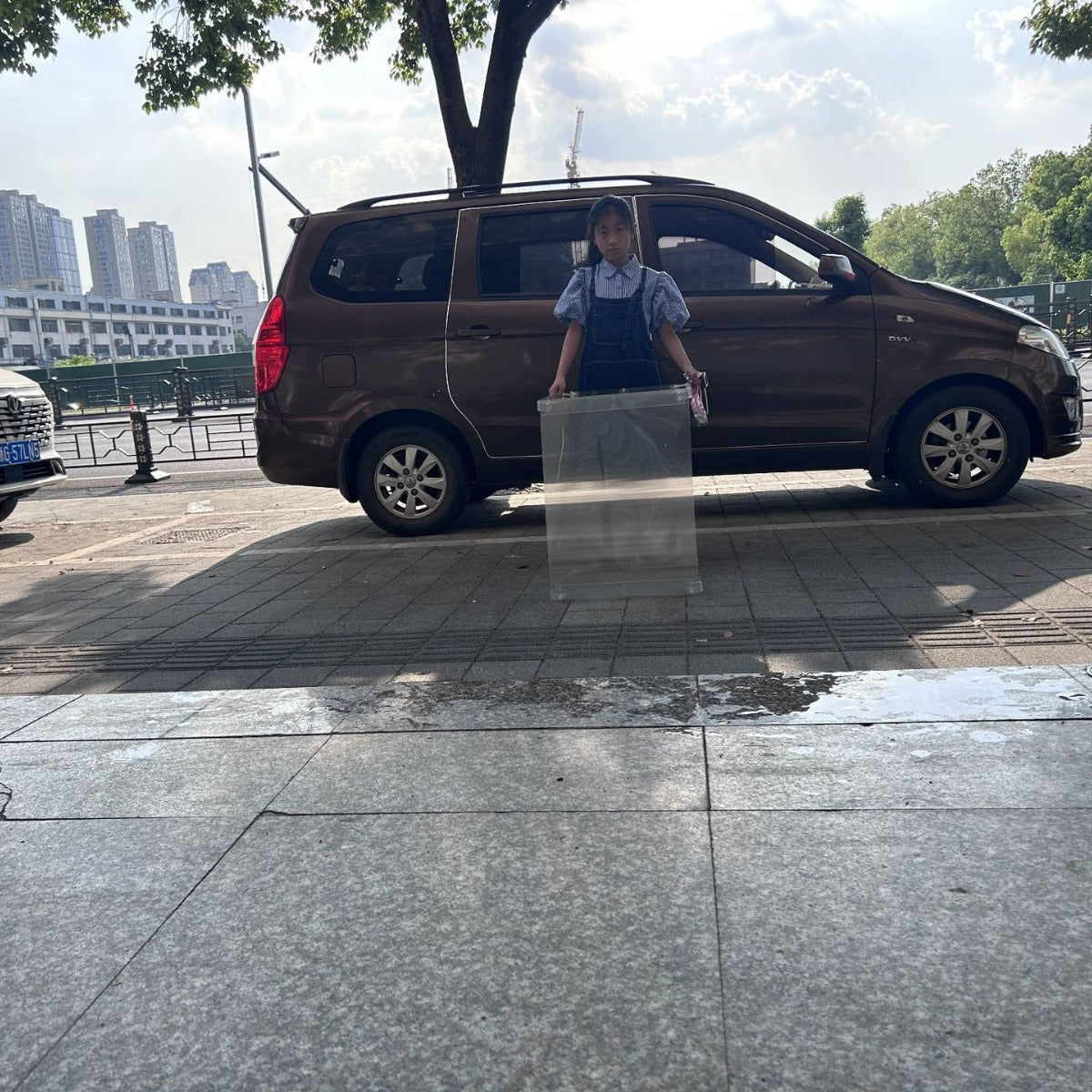 30*20CM Amazing Invisibility Shield Prop - Optical Illusion Lenticular Lens for Magic Tricks Tristar Online