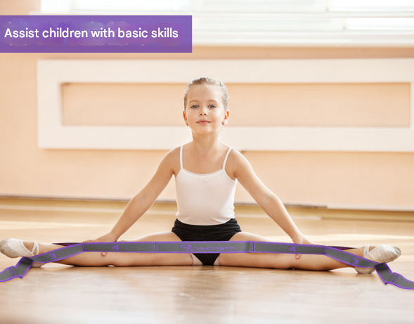 Blue and Purple 9-Loop Yoga Stretch Strap - Numbered Band for Flexibility and Physical Therapy Tristar Online