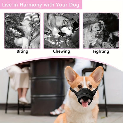 3 Pcs Size XL Black Breathable Mesh Dog Muzzle - Soft & Comfortable Guard to Prevent Biting, Allows Panting and Drinking Tristar Online