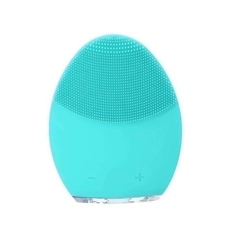 Wellcare Face Brush - Green Wellcare