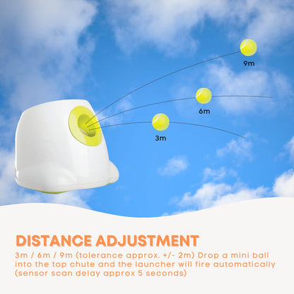 Hyper Fetch Mini Dog Ball Launcher - Automatic Interactive Indoor Small Pet Toy