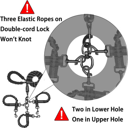 Red 3-in-1 Tangle-Free Dog Leash for 1-3 Dogs - Heavy Duty Bungee Coupler with Reflective Stitching & Padded Handle Tristar Online