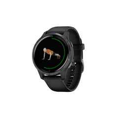 Garmin Venu GPS Fitness Smart Watch Garmin