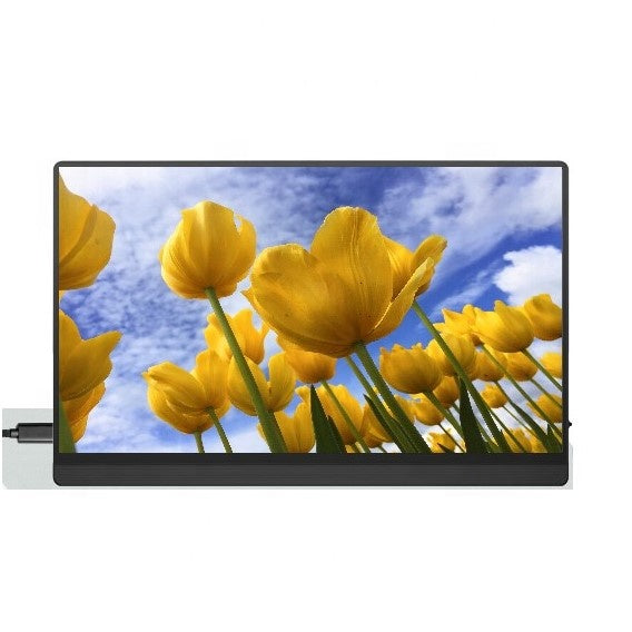 Portable Gaming Monitor 1080P IPS HDR Compatible with Multi-Devices (Copy) Trion