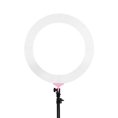 Embellir Ring Light 19" LED 5800LM Dimmable Diva With Stand Make Up Studio Video Pink Tristar Online