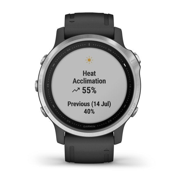 Garmin Fenix 6S Smart Watch - Silver Garmin