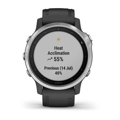 Garmin Fenix 6S Smart Watch - Silver Garmin