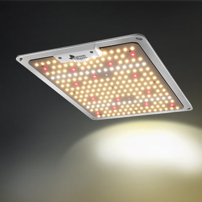 Greenfingers Max 1000W LED Grow Light Full Spectrum Indoor Veg Flower All Stage Tristar Online