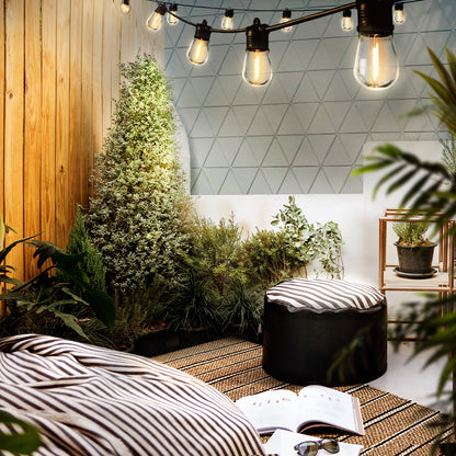 Jingle Jollys 17m Festoon String Lights Solar Wedding Party Waterproof Outdoor Tristar Online