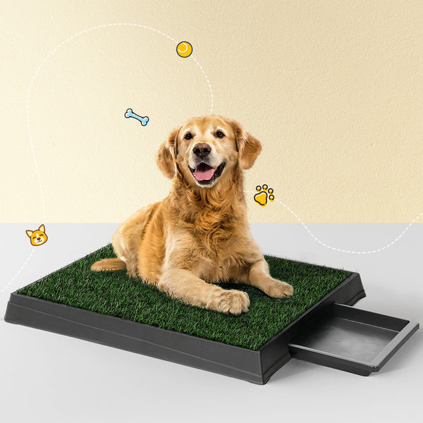 i.Pet Pet Training Pad Dog Potty Toilet Large Portable With Tray Grass 2 Mats Tristar Online