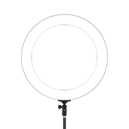 Embellir Ring Light 19" LED 6500K 5800LM Dimmable Diva With Stand Silver Tristar Online