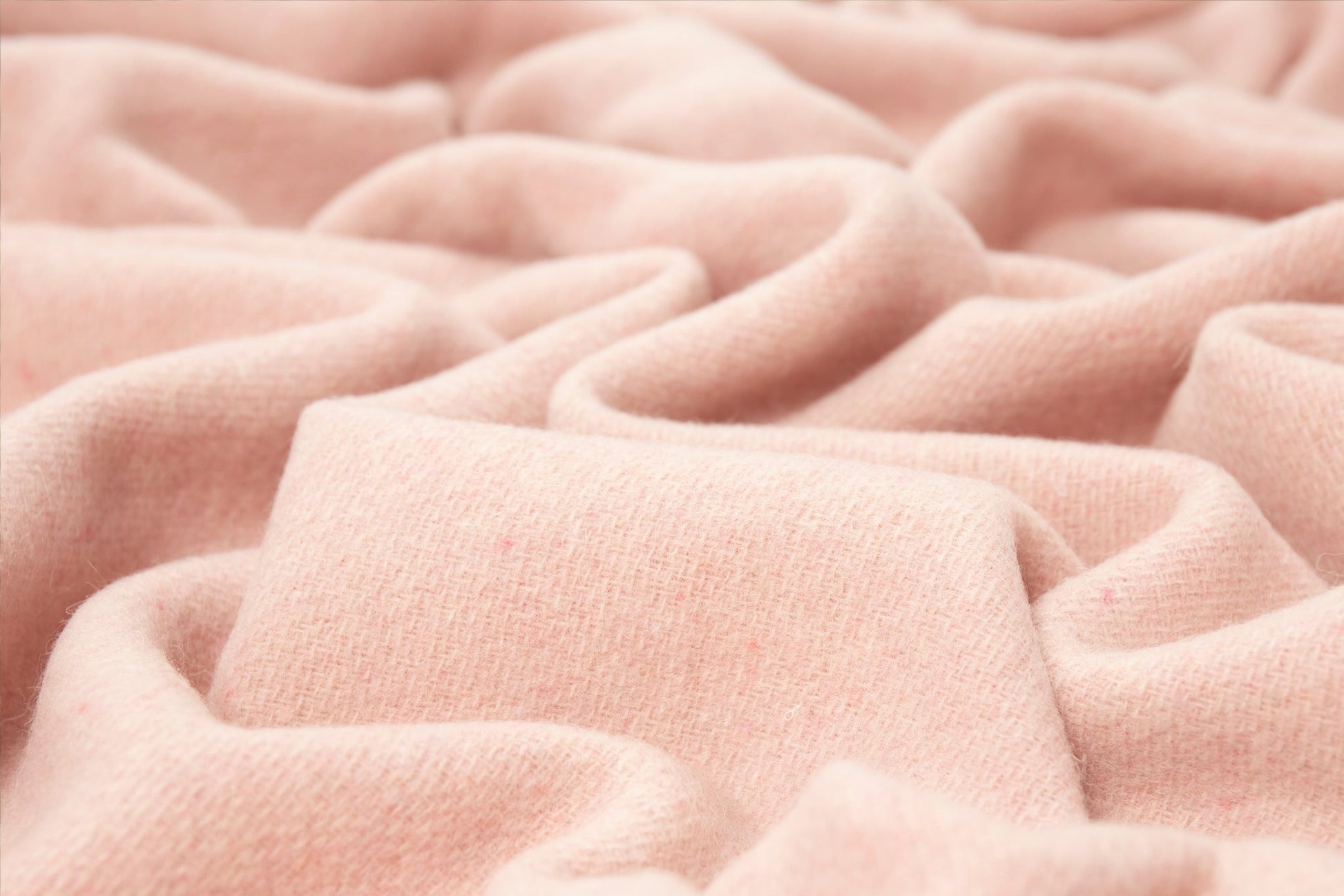 Oxford Throw - Merino Wool Blend - Blush Tristar Online
