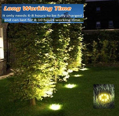 8 Pack LED Solar Pathway Lights Outdoor Solar Ground Lights (Warm White) Tristar Online