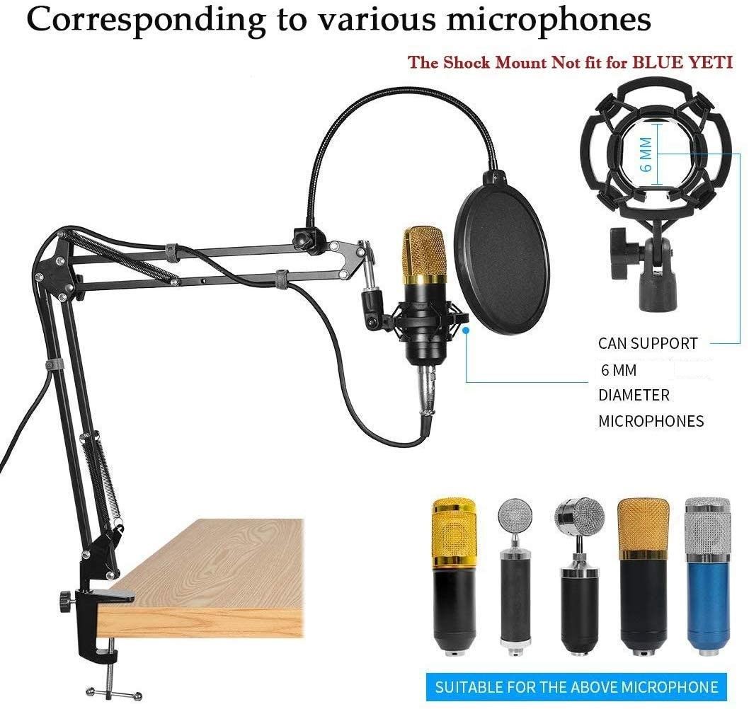 Microphone Radio Broadcasting Stand with 3/8"to 5/8" Screw Adapter and Windscreen Pop Filter Tristar Online