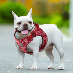 Floral Doggy Harness Red S Tristar Online