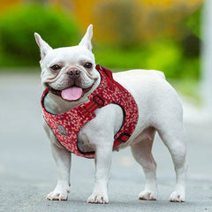 Floral Doggy Harness Red M Tristar Online