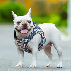 Floral Doggy Harness Saxony Blue M Tristar Online