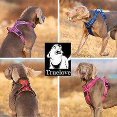 No Pull Harness Grey M Tristar Online