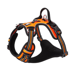 No Pull Harness Orange L Tristar Online