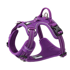 No Pull Harness Purple L Tristar Online