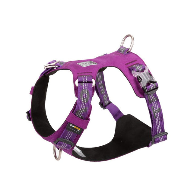 Lightweight 3M reflective Harness Purple 2XS Tristar Online