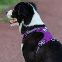 Lightweight 3M reflective Harness Purple S Tristar Online