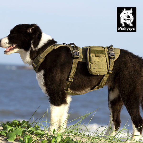 Whinhyepet Military Harness Army Green L Tristar Online