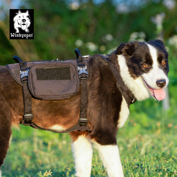 Whinhyepet Military Harness Black L Tristar Online