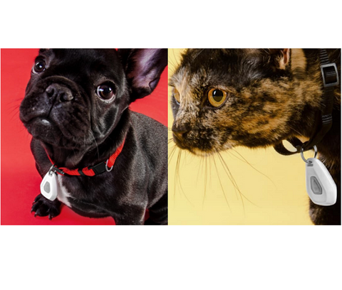 Mitey Tick Off For Pets Electronic Tick Repeller Tristar Online